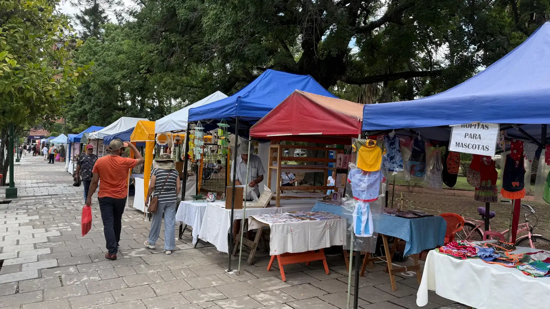 Este fin de semana se podrá disfrutar de paseos artesanales y música en ...