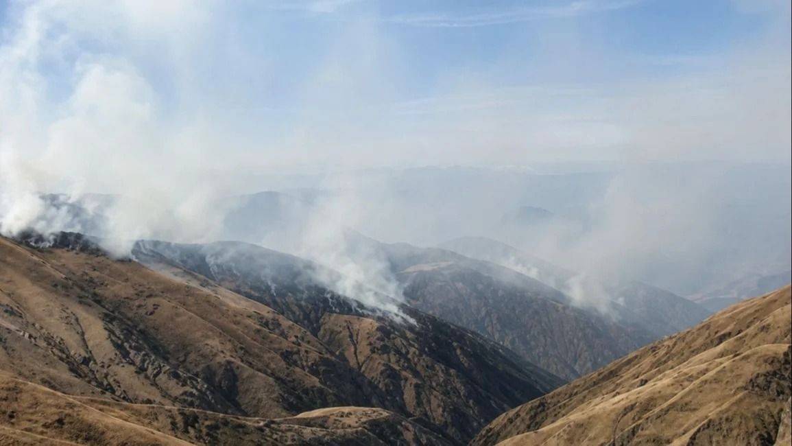 Los incendios forestales en la provincia dejaron su primera víctima fatal